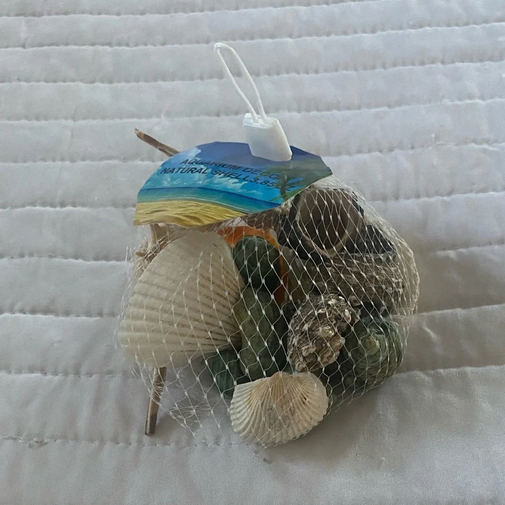 AQUARIUM DECOR NATURAL SHELL 3.85 oz Fish